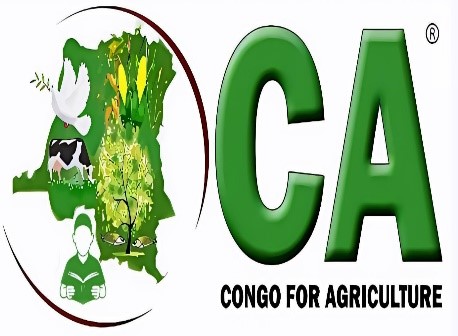Logo CA ASBL