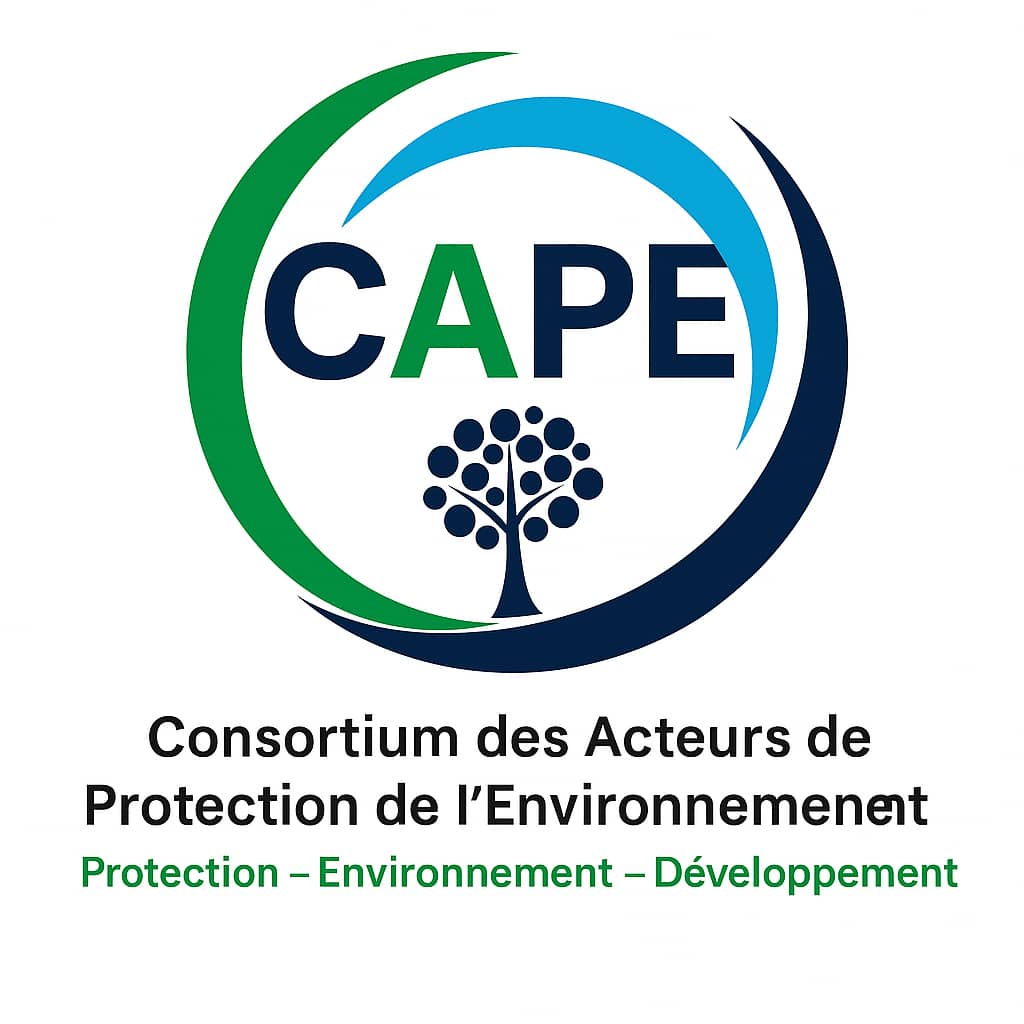 Partenaire 11