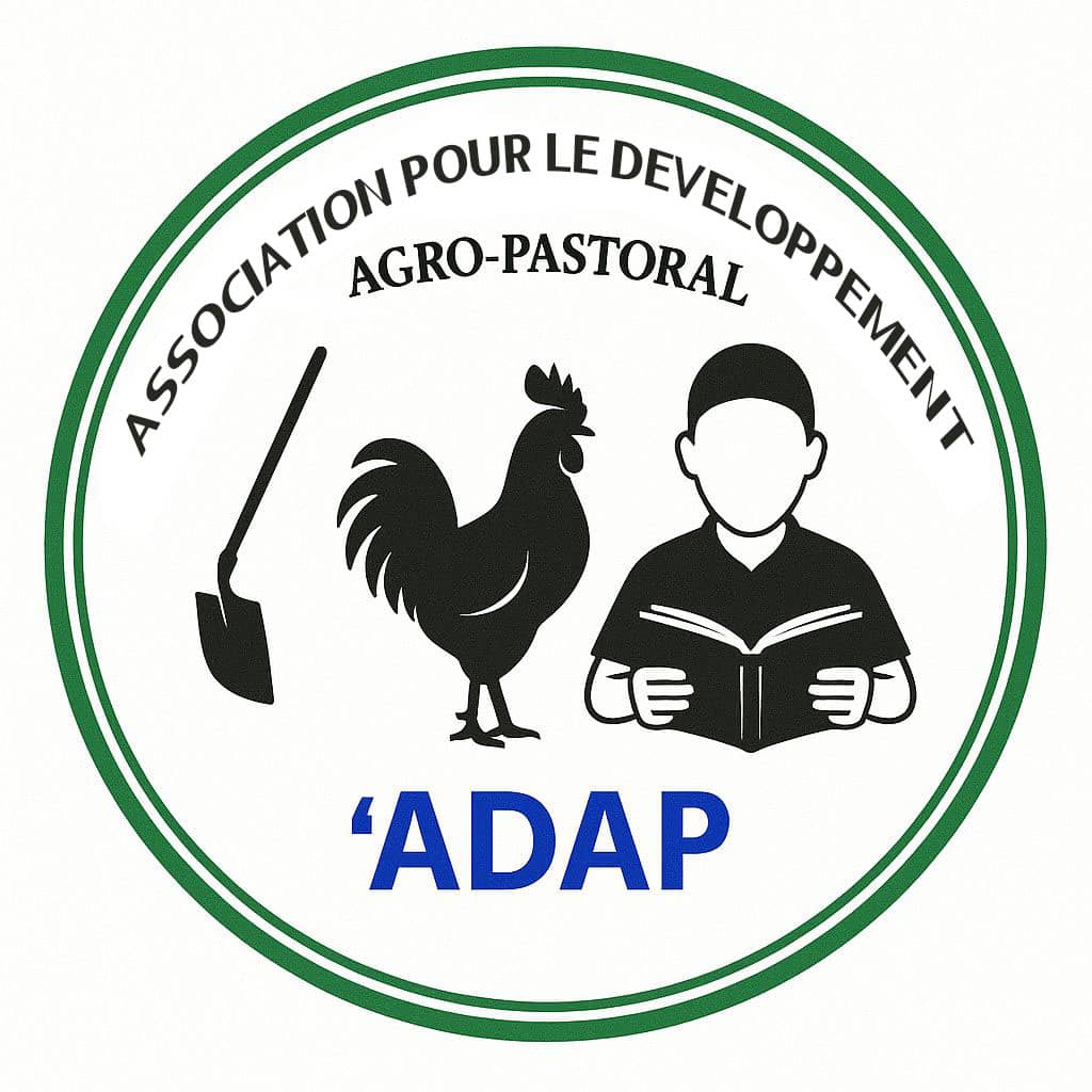 Partenaire 6