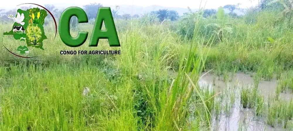 Un engagement  pour un avenir Vert 